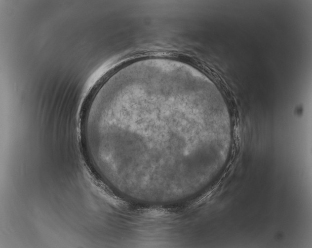 X0000116030246200912111422