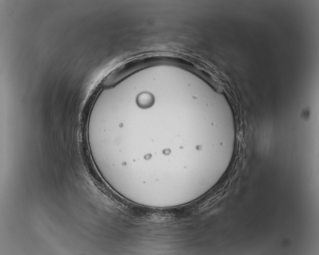 X0000116030248200912111422