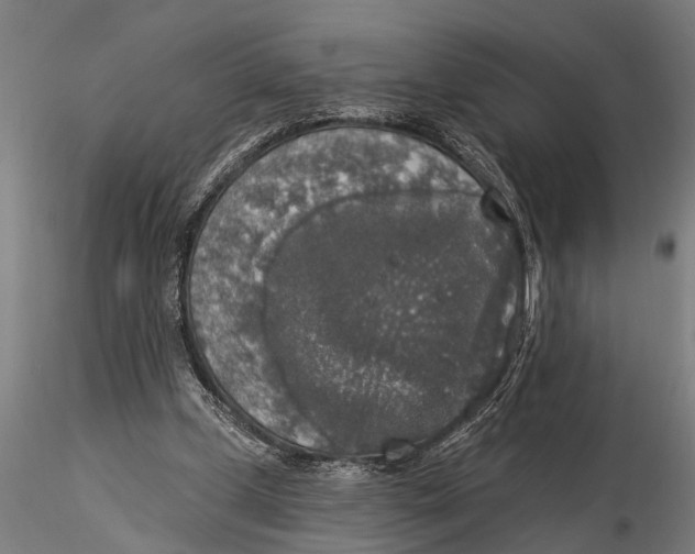 X0000116030249200912111422