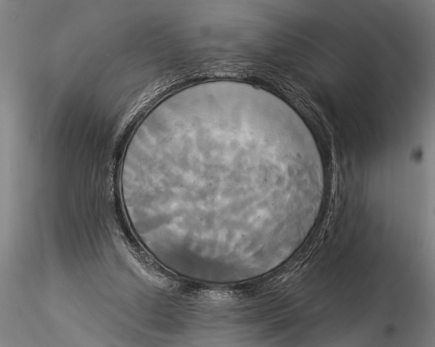 X0000116030250200912111422