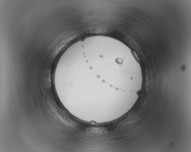 X0000116030251200912111422