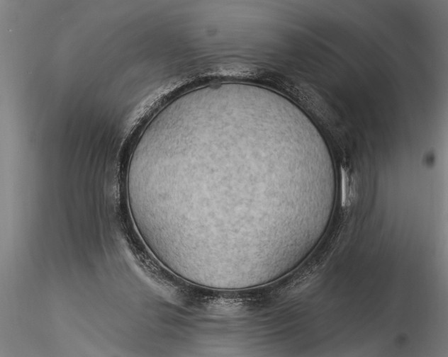 X0000116030252200912111422