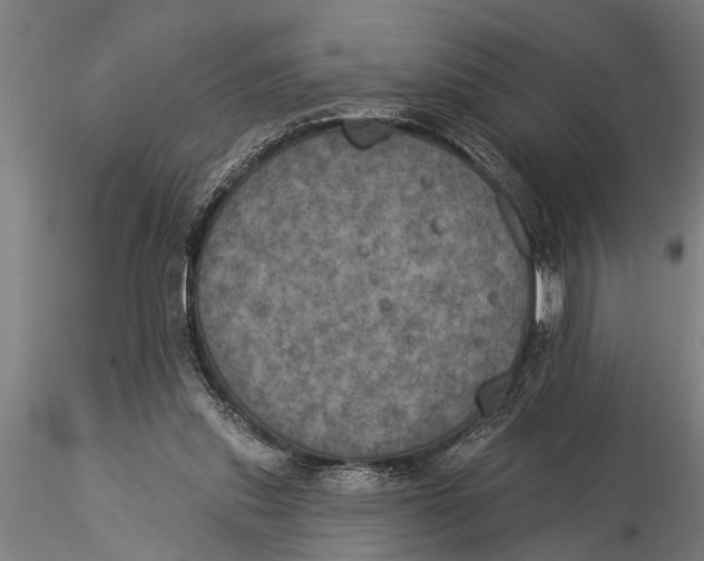 X0000116030253200912111422