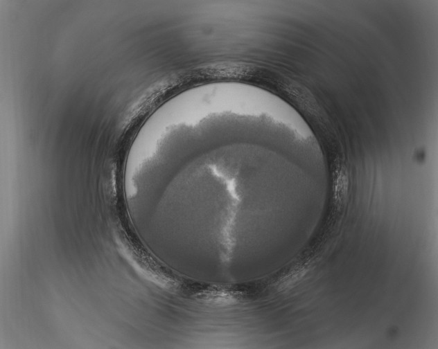 X0000116030254200912111422