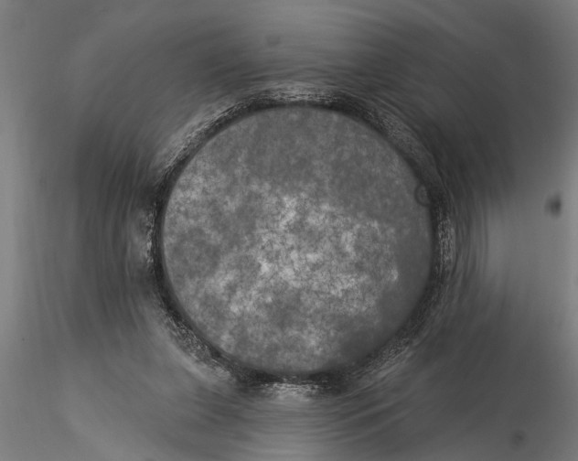 X0000116030255200912111422