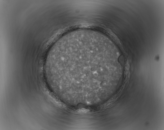 X0000116030257200912111422