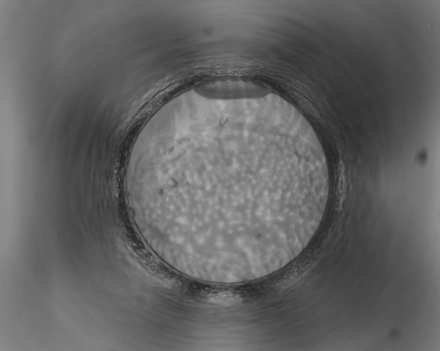 X0000116030258200912111422