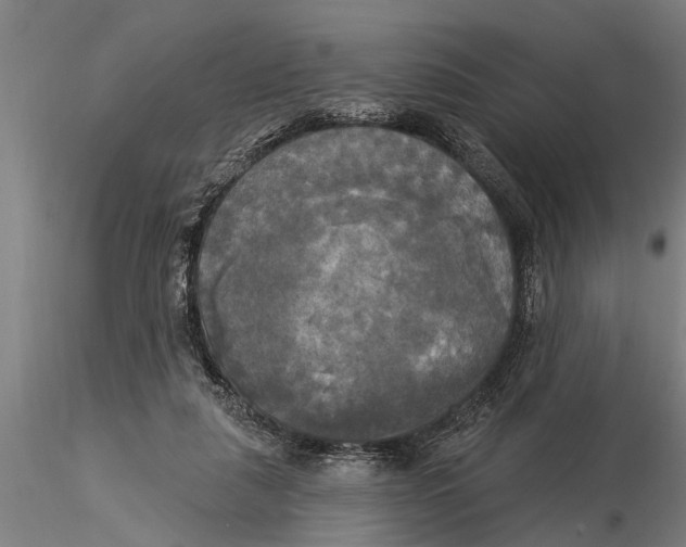 X0000116030259200912111422