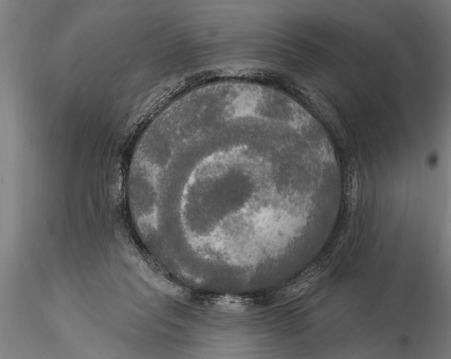 X0000116030261200912111423