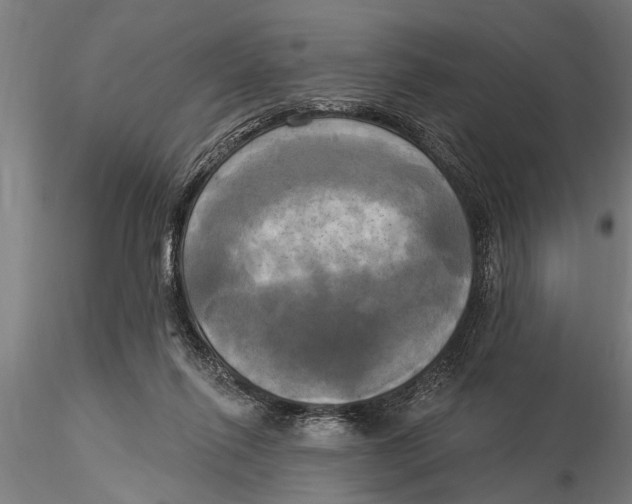 X0000116030262200912111423