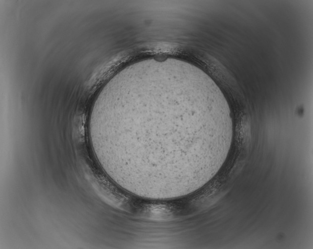 X0000116030264200912111423