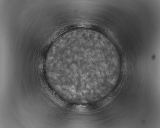 X0000116030265200912111423