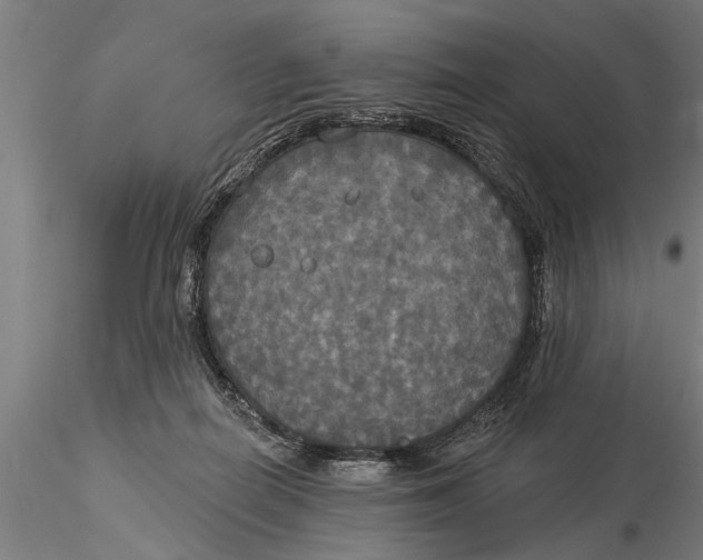 X0000116030266200912111423