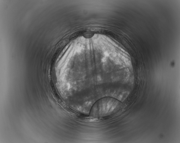 X0000116030267200912111423