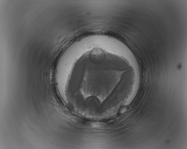 X0000116030268200912111423