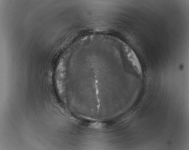 X0000116030269200912111423