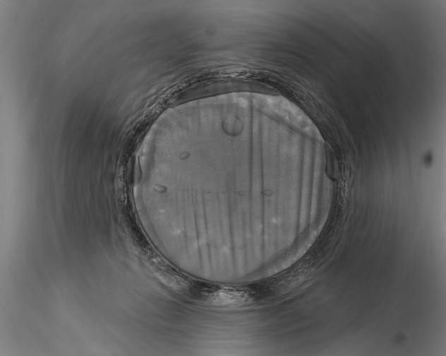 X0000116030270200912111423