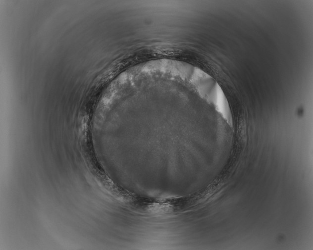 X0000116030271200912111423