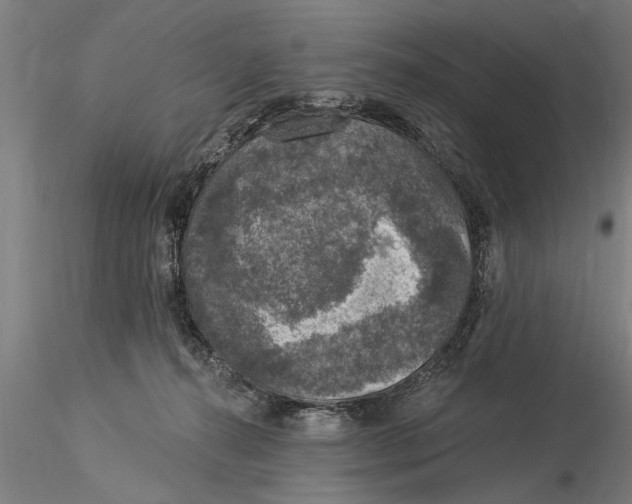 X0000116030272200912111423