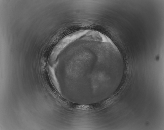 X0000116030273200912111423