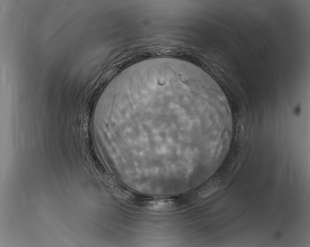 X0000116030274200912111423