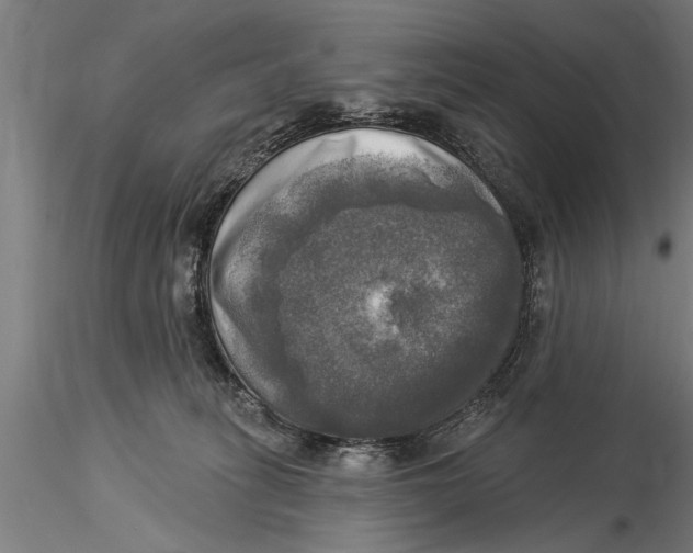 X0000116030275200912111423