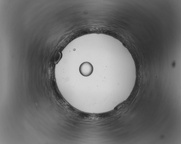 X0000116030276200912111423