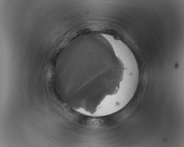 X0000116030277200912111423