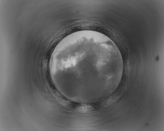 X0000116030278200912111423