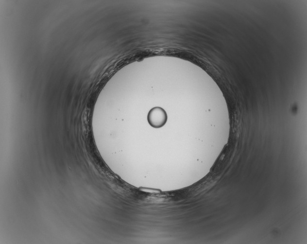 X0000116030280200912111423