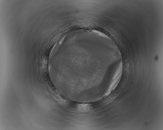 X0000116030281200912111423