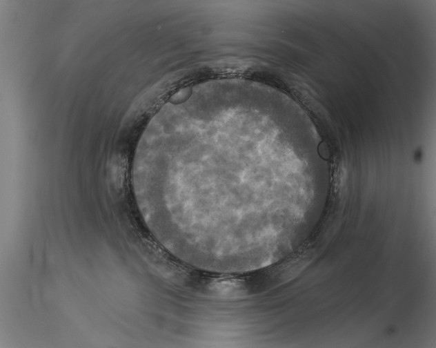 X0000116030283200912111423