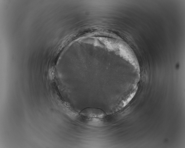 X0000116030285200912111423