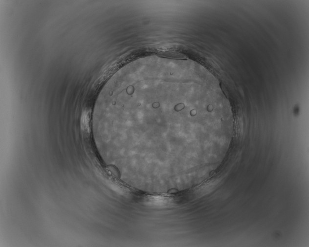 X0000116030286200912111423