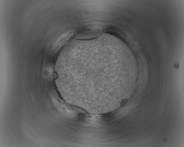 X0000116030288200912111423