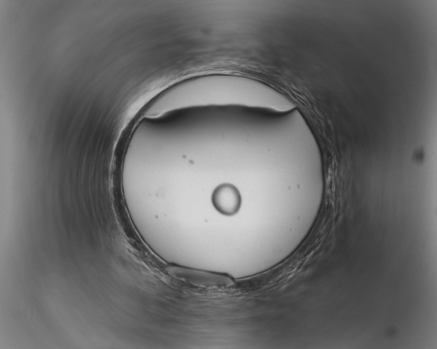 X0000116030292200912111422