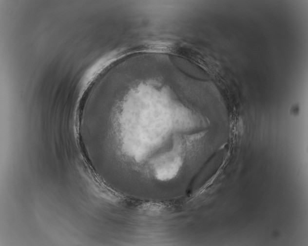 X0000116030294200912111422