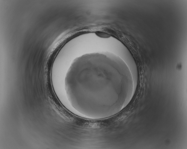 X0000116030295200912111422