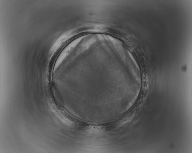 X0000116030296200912111422