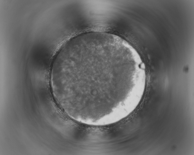 X0000116030297200912111422