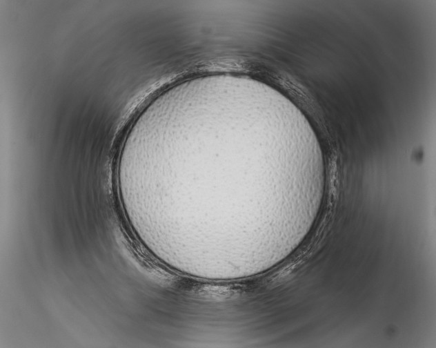 X0000116030298200912111422