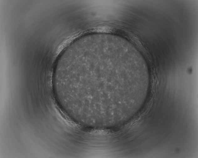 X0000116030299200912111422