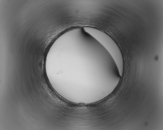 X0000116030301200912111422