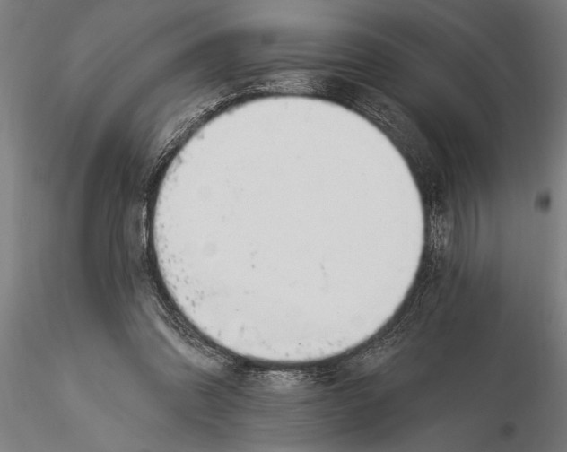 X0000116030302200912111422