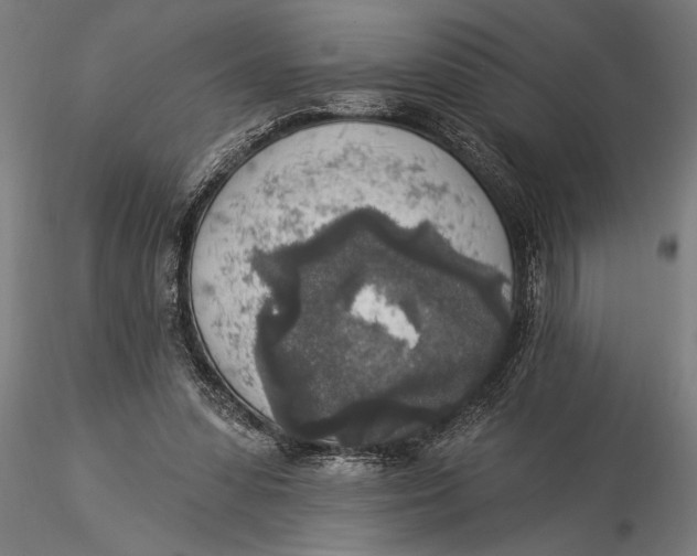 X0000116030303200912111422