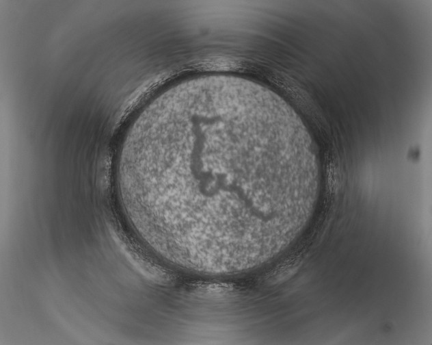 X0000116030304200912111422