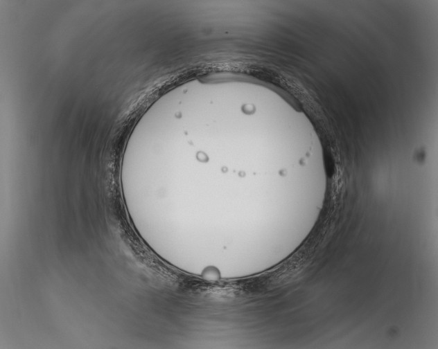 X0000116030306200912111422