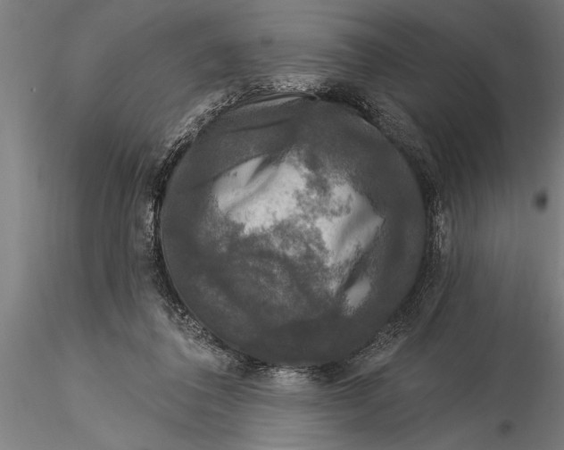 X0000116030308200912111422