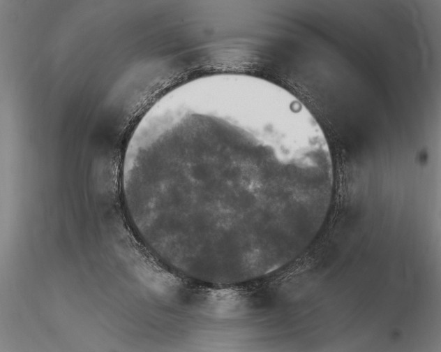 X0000116030309200912111422