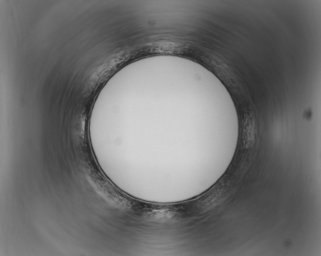 X0000116030310200912111422